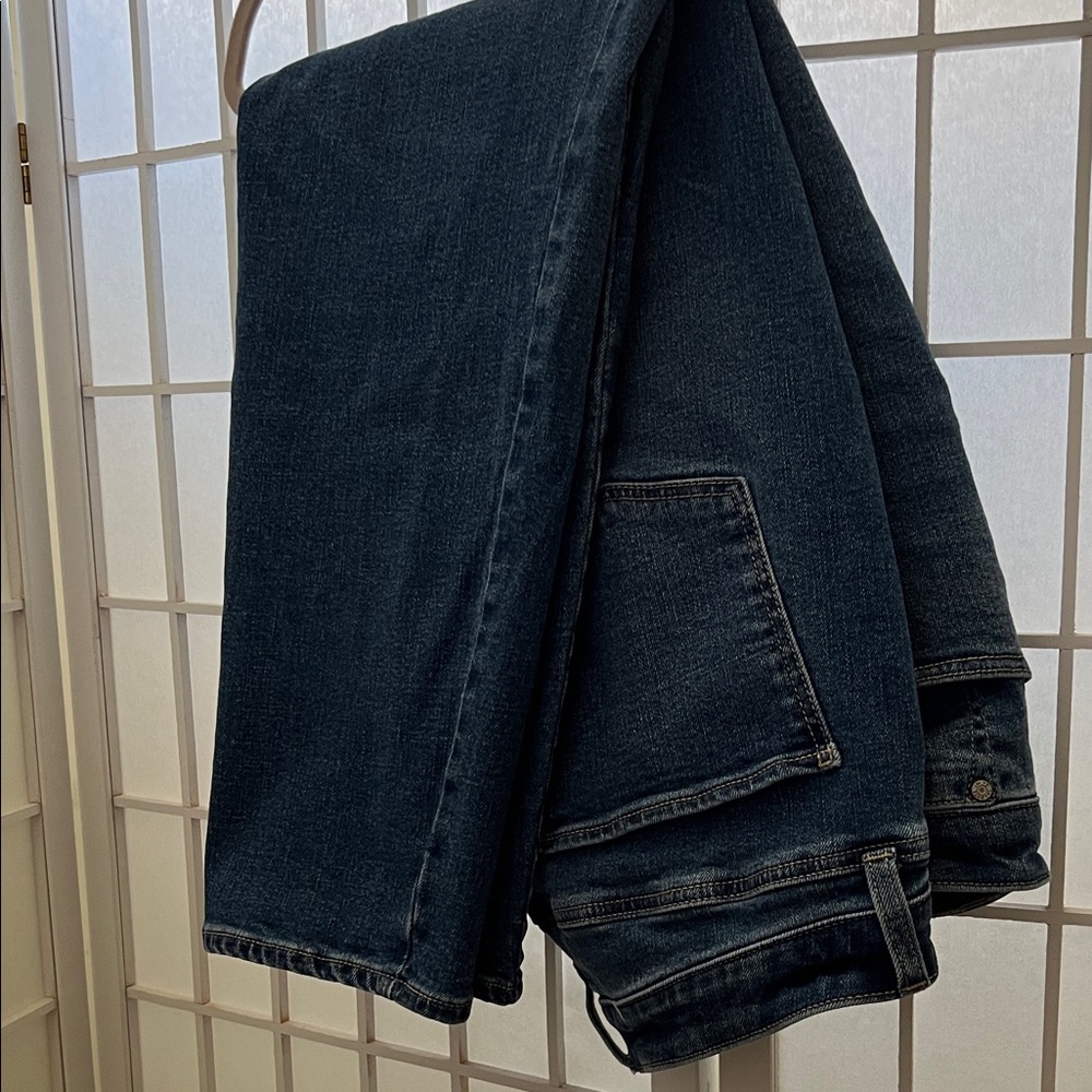 Talbots Women’s Medium Blue Straight Jeans